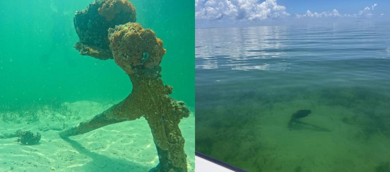 Ancla del barco que fue hallado en cercanía de la Florida. 