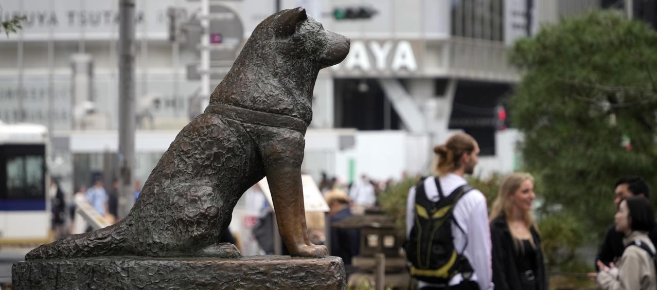 La estatua de Hachiko en Tokio.