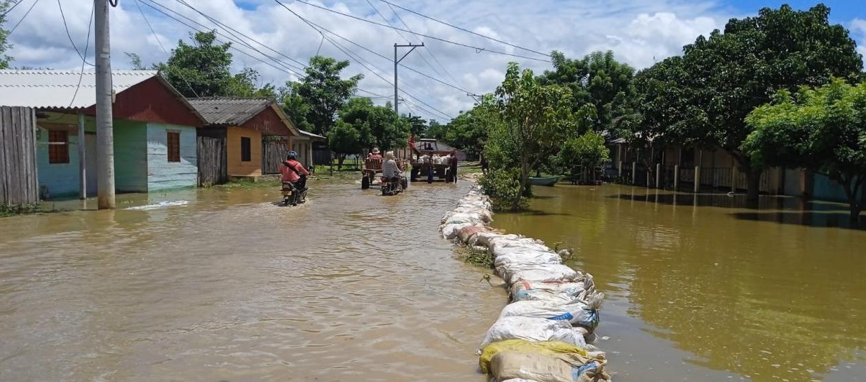 Imagen de referencia.