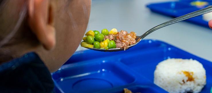 Para la FAO, en América Latina y el Caribe, la malnutrición infantil es una problemática que, en sus distintas formas