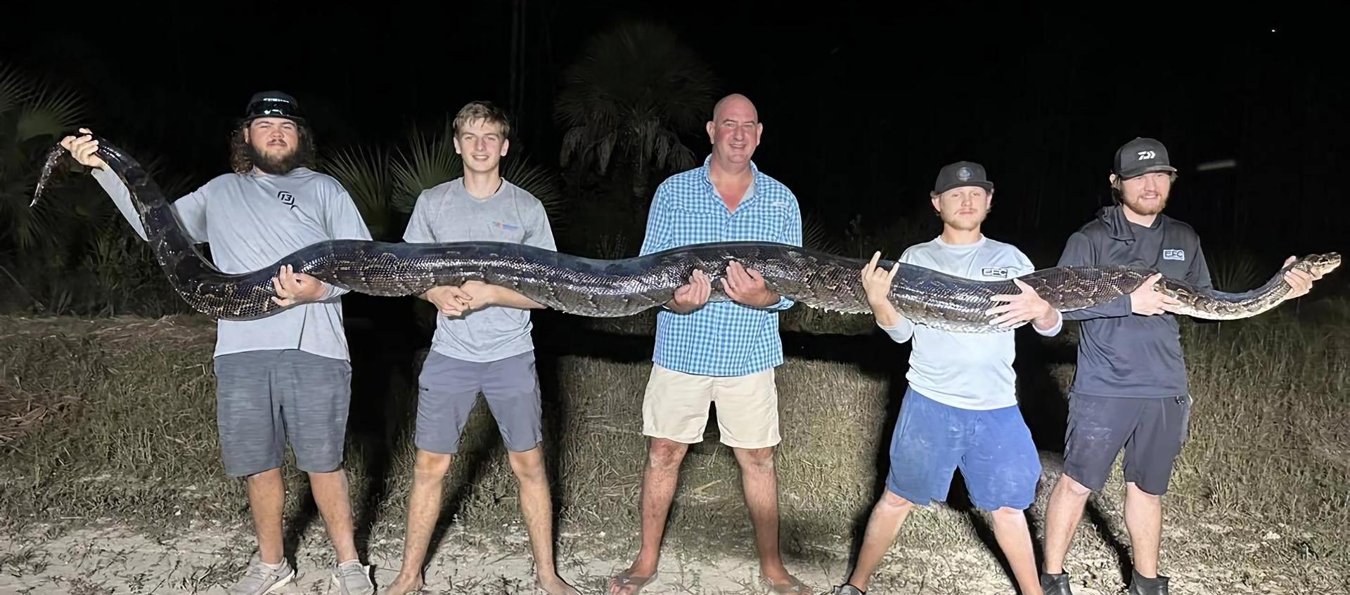 El reptil cazado y es cargado por cinco hombres. 