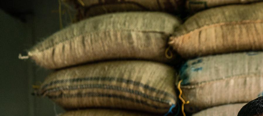 Imagen de referencia.