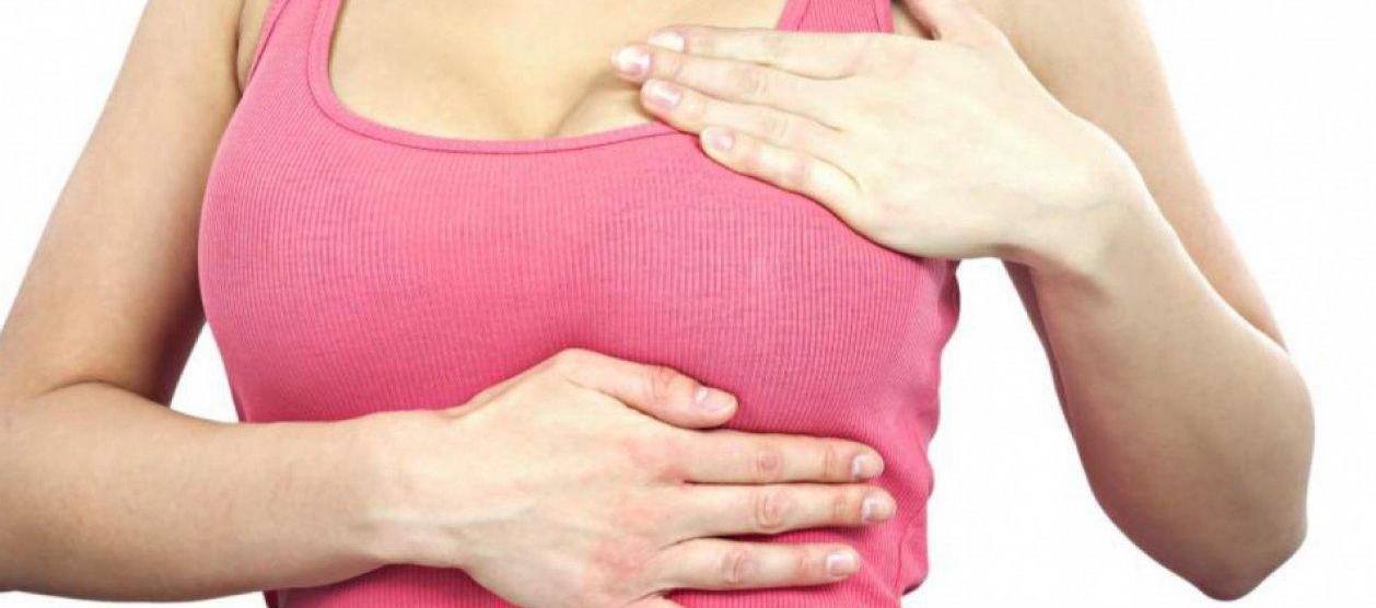 Imagen de referencia.