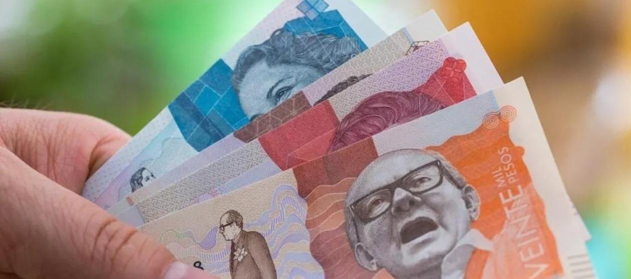 Imagen de referencia.