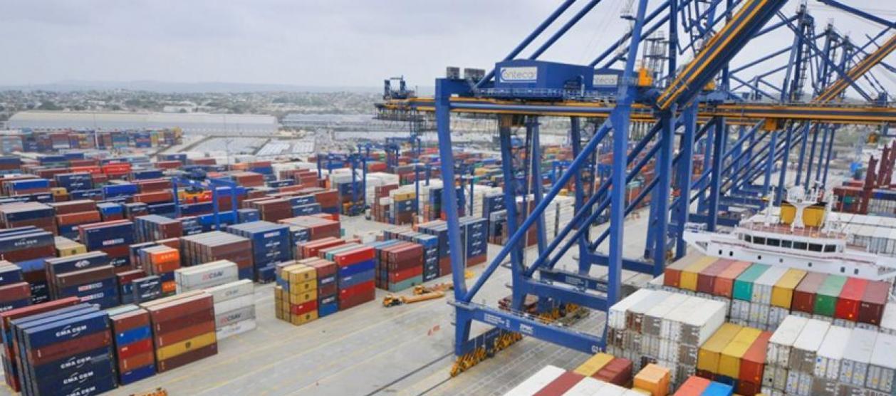 Imagen de referencia.