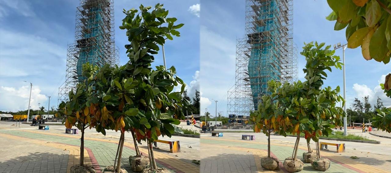 Plan de siembra de especies nativas y plantas ornamentales puesto en marcha.