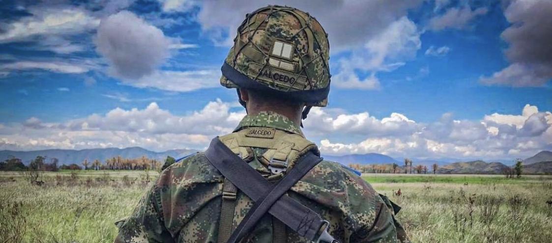 Imagen de referencia. 