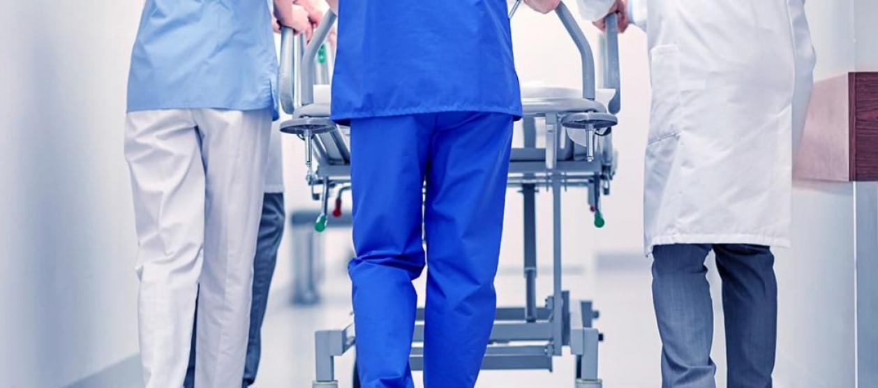 Imagen de referencia.