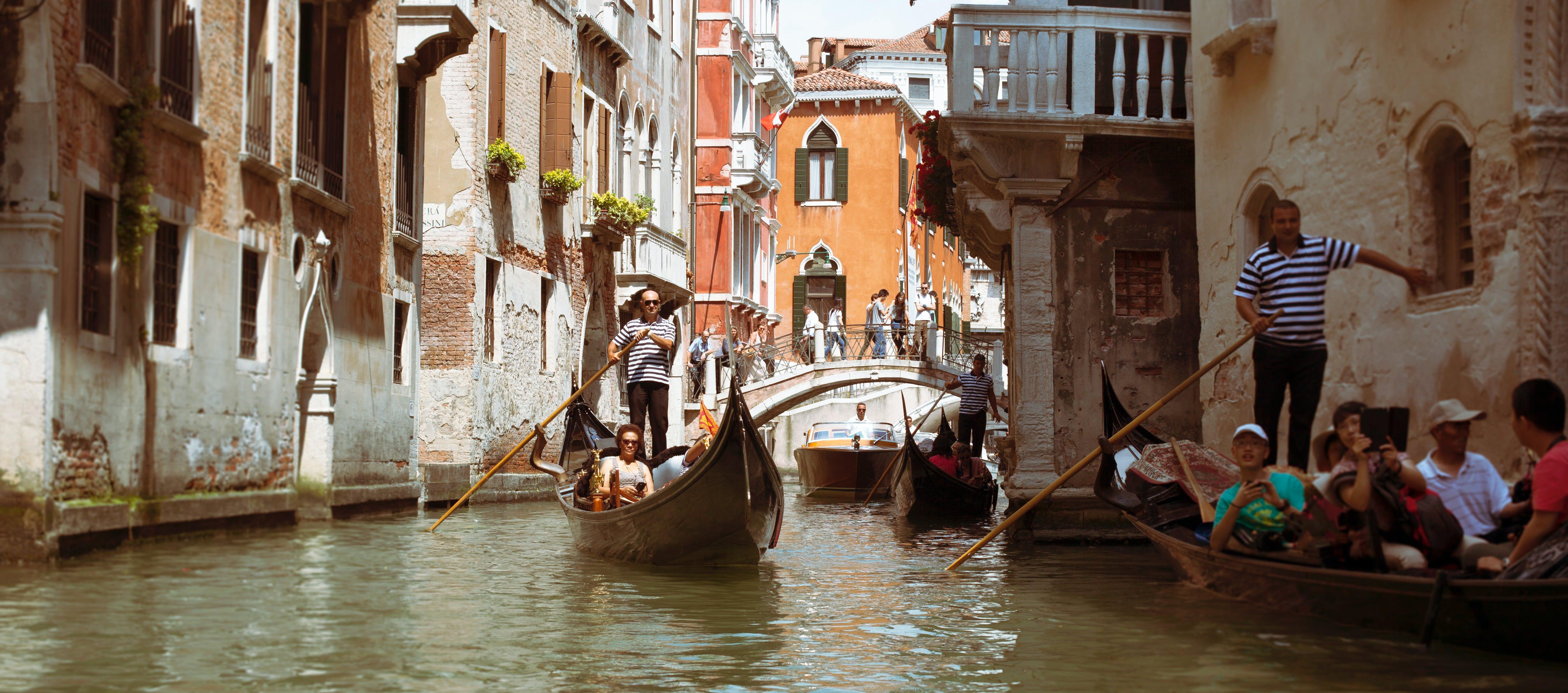 Imagen de referencia.