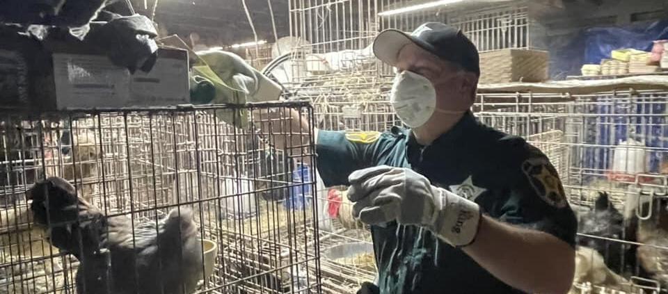 Los animales presentaban problemas de salud.