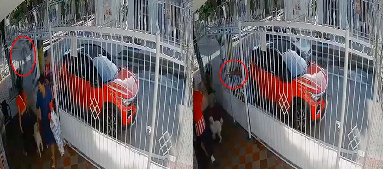 Intento de atraco en el barrio Tayrona. 