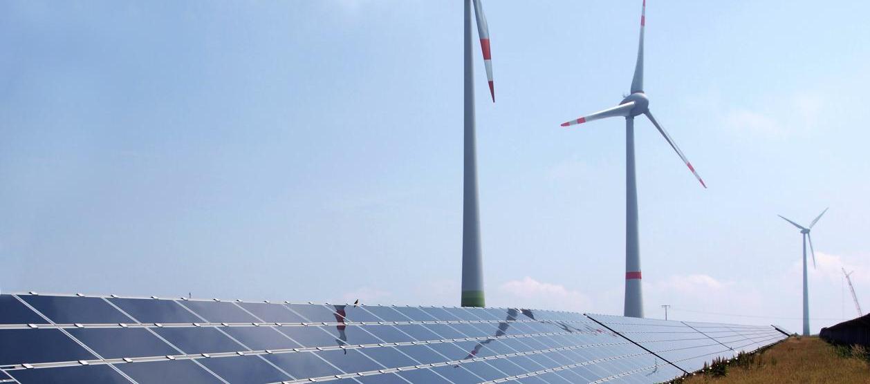 Imagen de referencia.