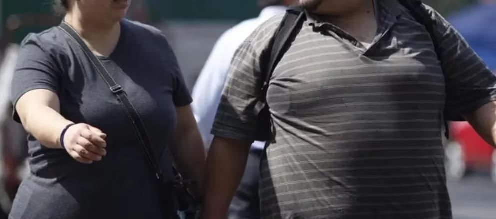 Imagen de referencia.