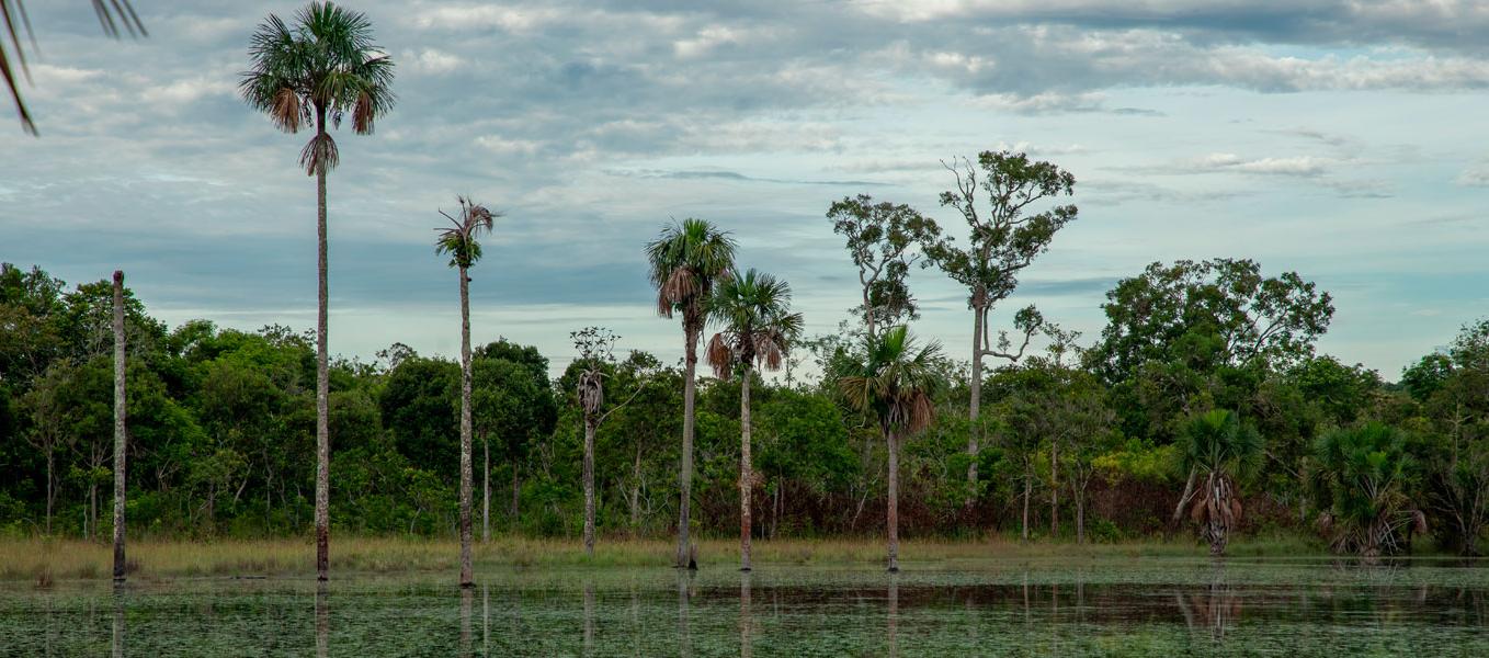 El nuevo Parque Natural de Colombia: la Serranía de Manacacías, en el Meta. 
