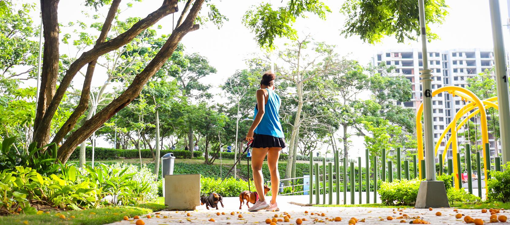 Parque Realismo Mágico, calle 99 con carrera 65, donde se robaron a 'Fendi'