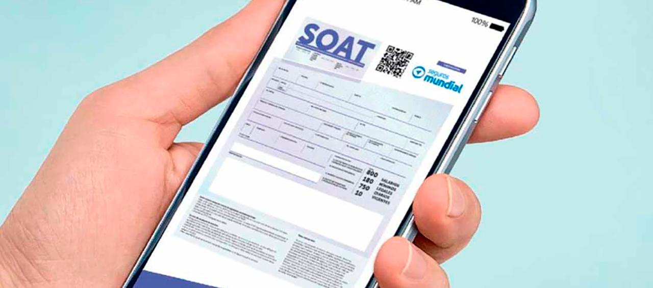 Imagen de referencia.