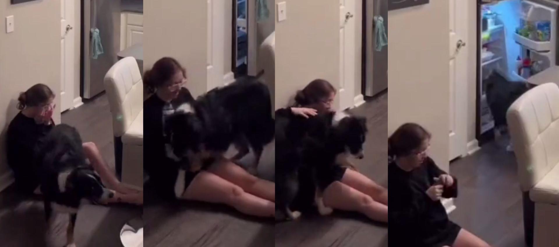 'Bailey' junto a su dueña Katie.