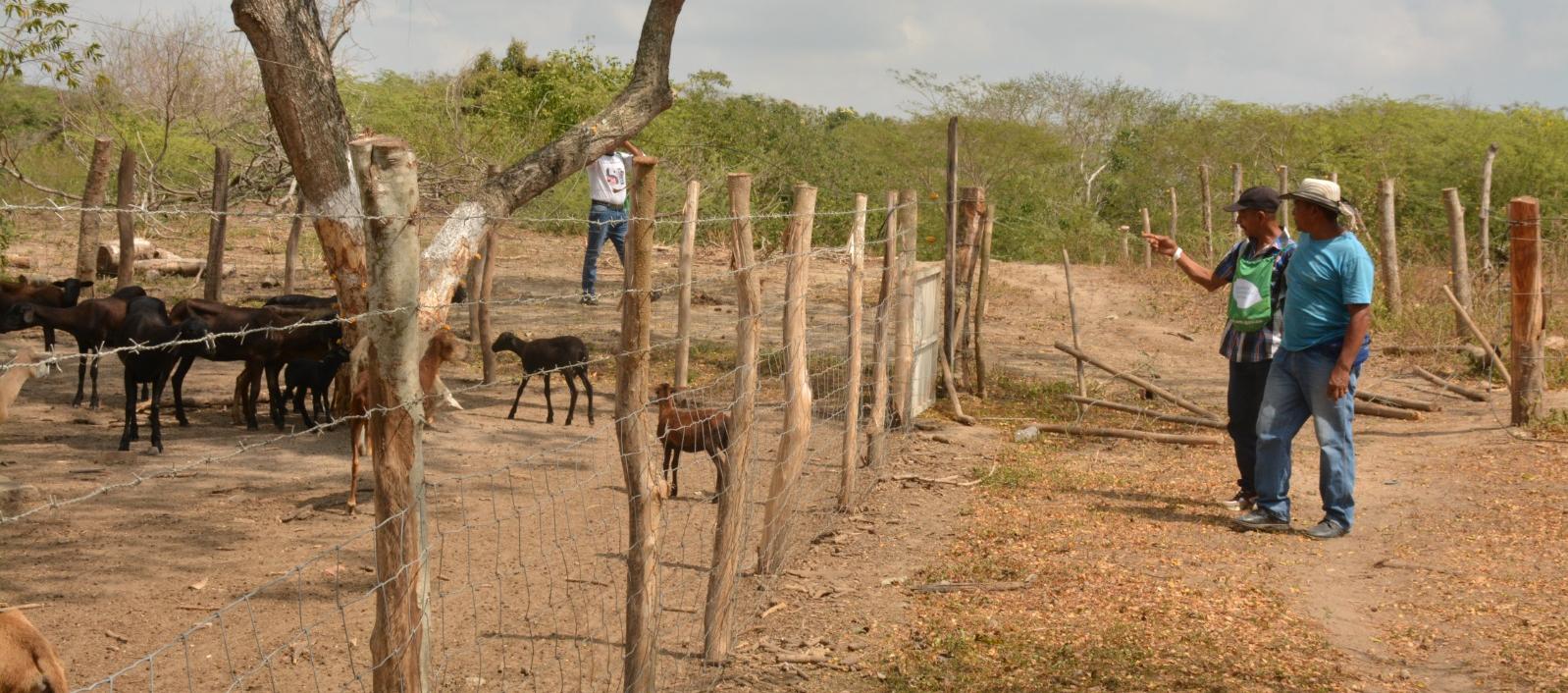 Entrega predios Baranoa, Atlántico.