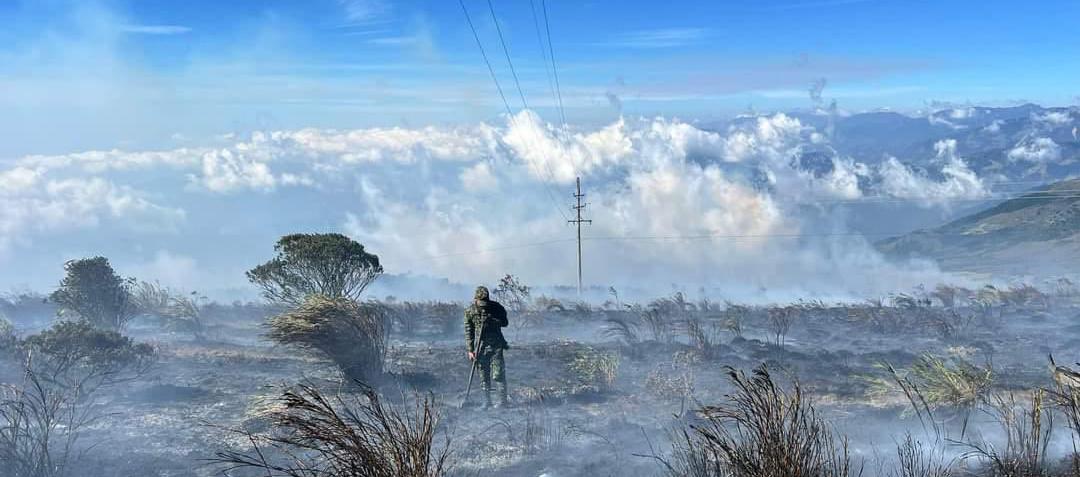 Devastación tras los incendios forestales en el país. 