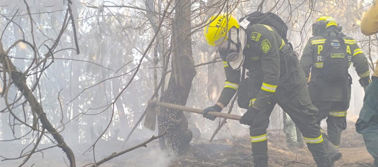 La Policía ayudando para apagar el incendio en los cerros de Bogo