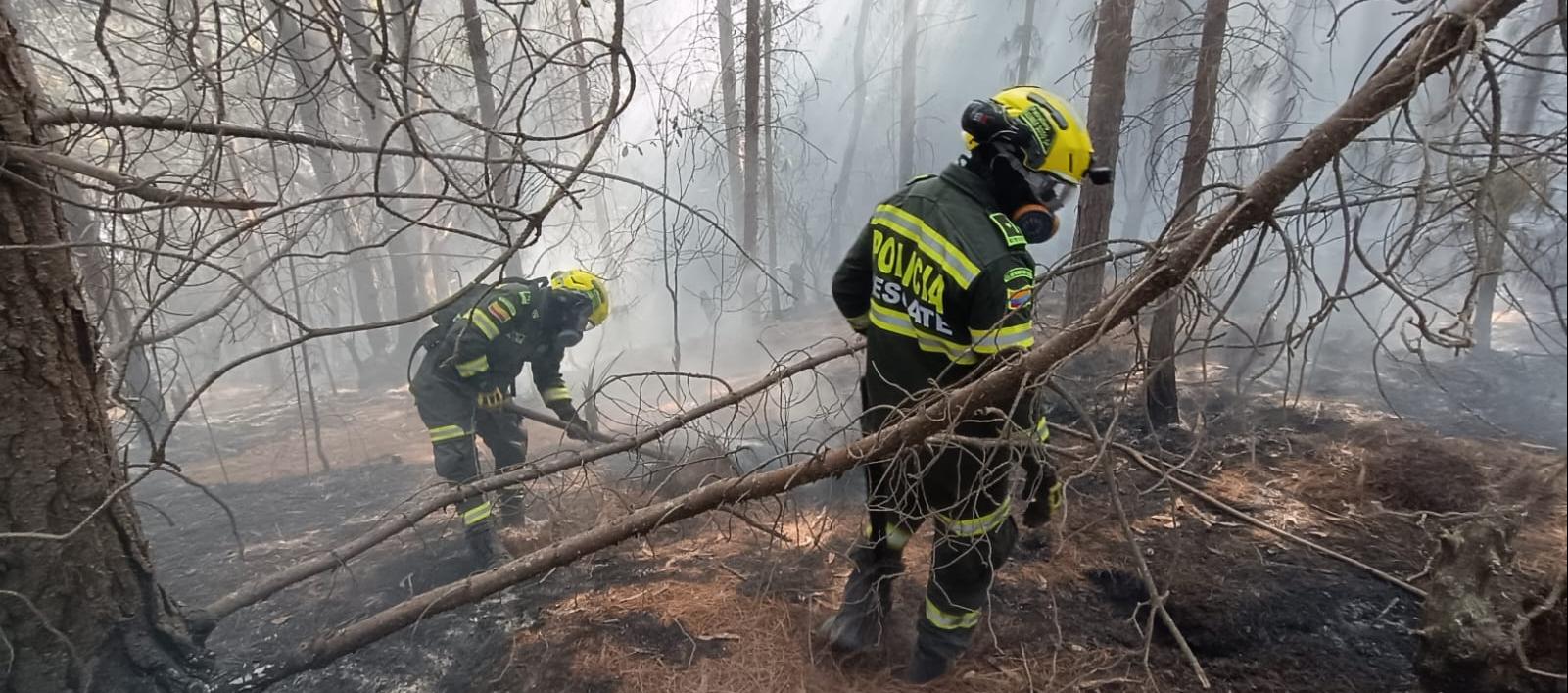 Incendio forestal en los cerros orientales de Bogotá. 