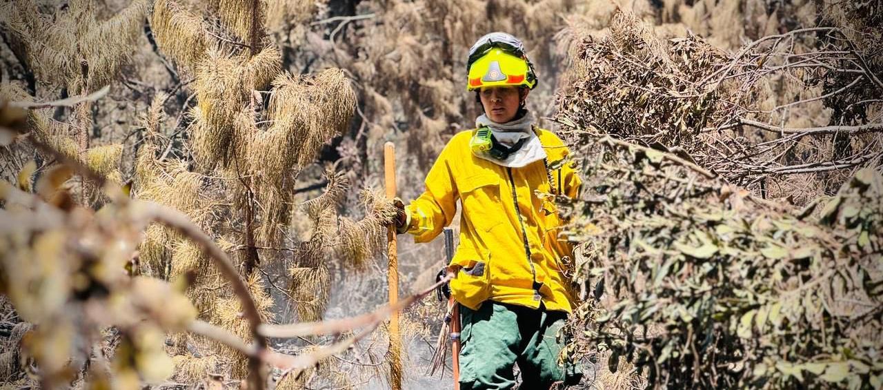 Hay 13 incendios que están siendo controlados.