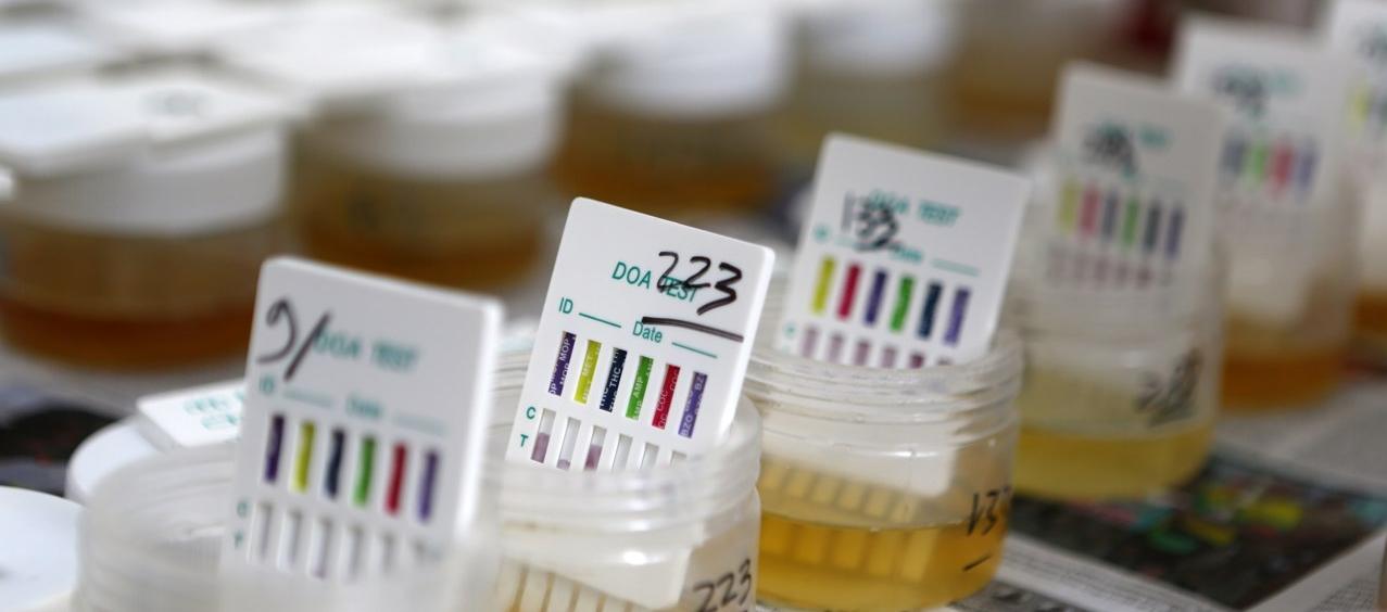 Imagen de referencia.