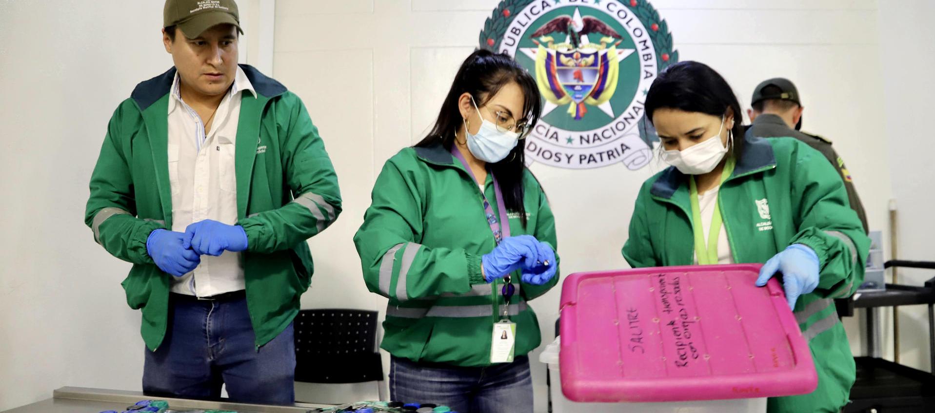 Ranas incautadas por la Policía. 