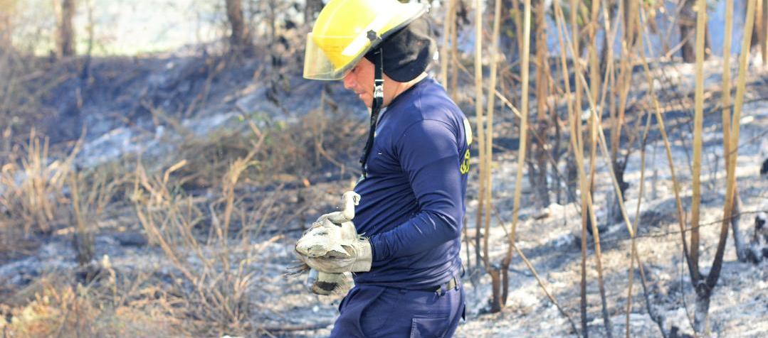 Zona del incendio en Santo Tomás