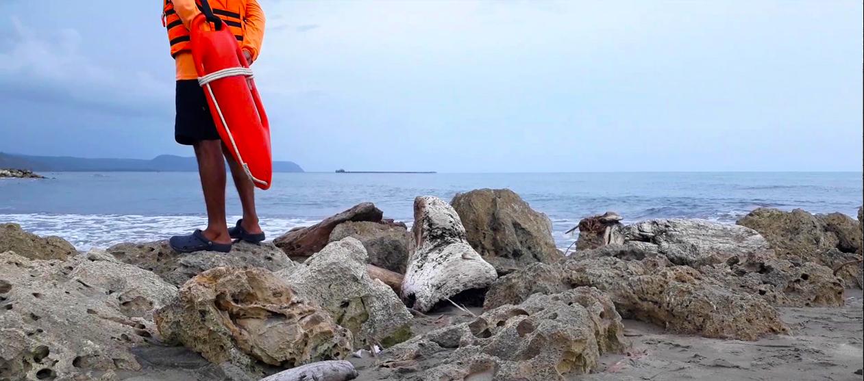 Imagen de referencia.