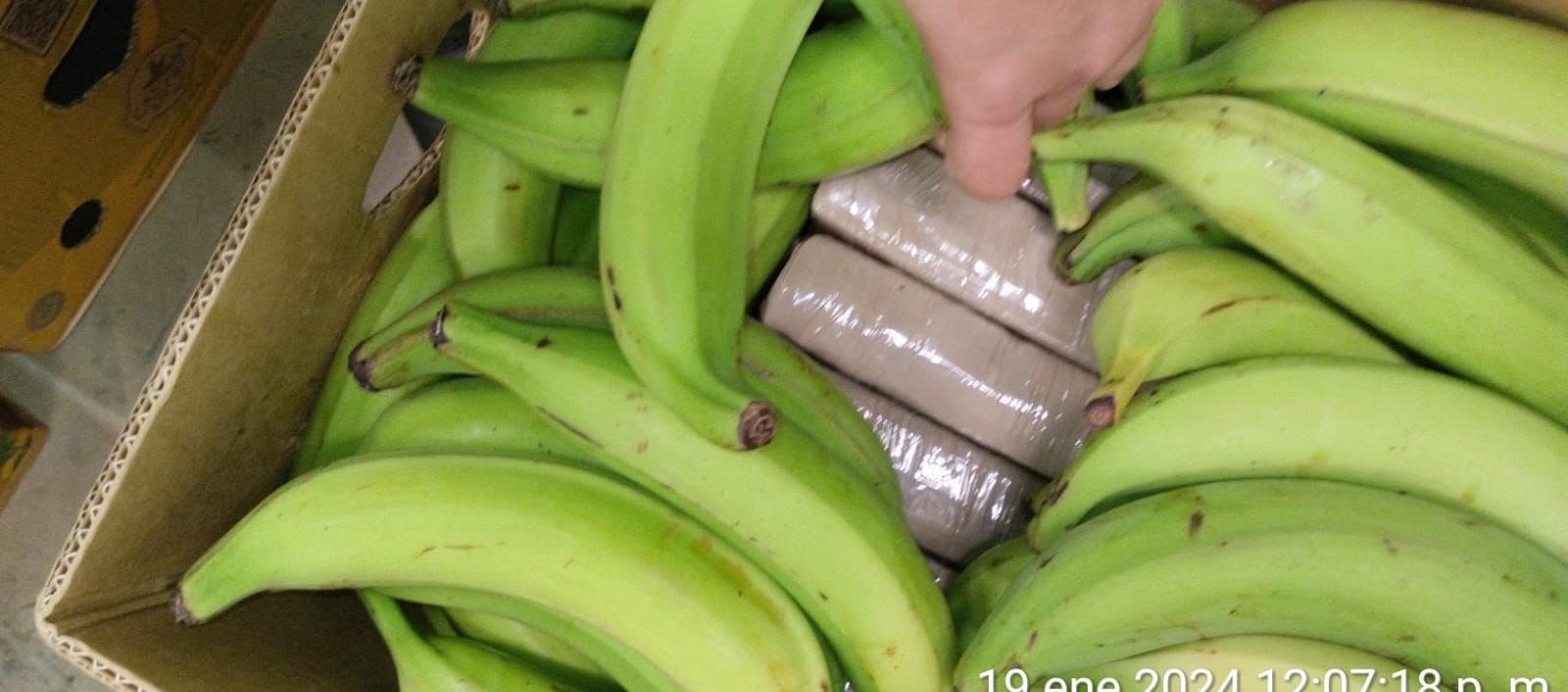 Asi estaba camuflada la cocaína incautada