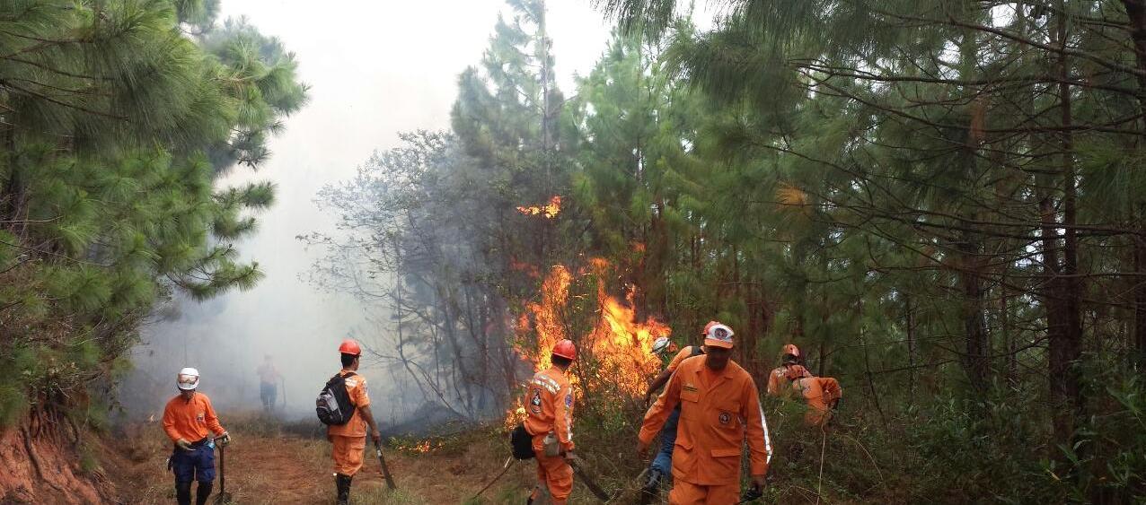 Imagen de referencia.