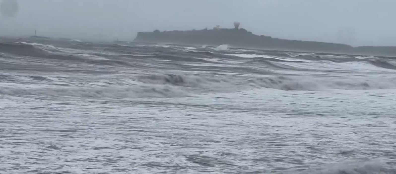 Imagen de referencia.