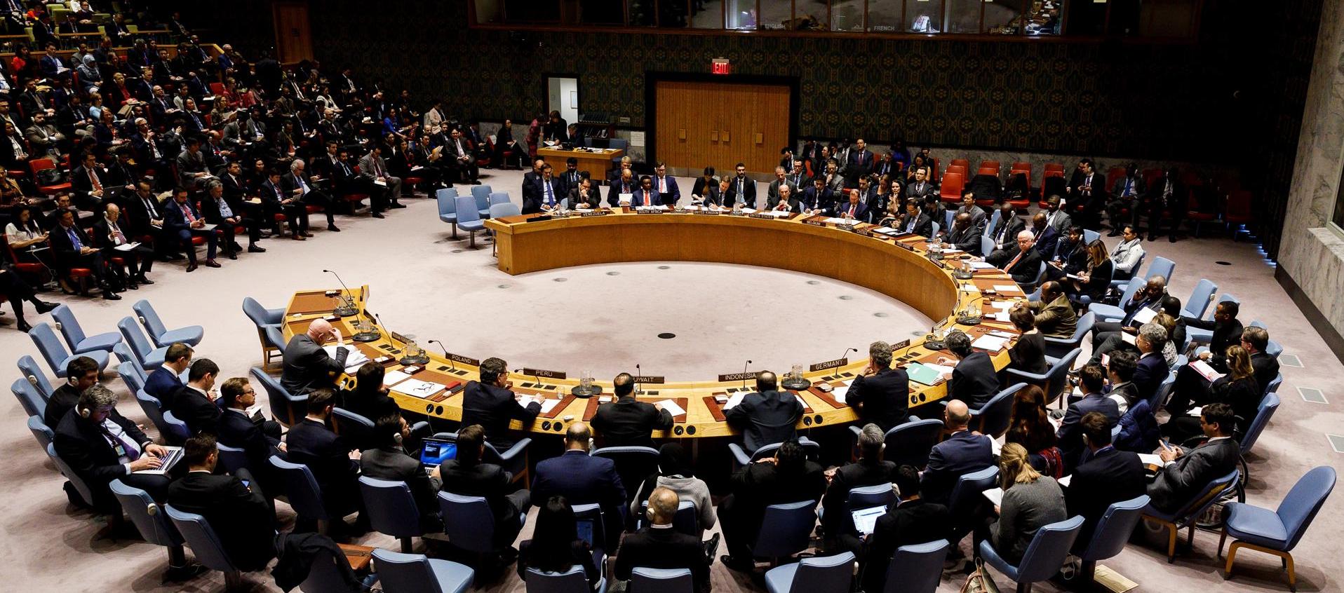 Consejo de Seguridad de las Naciones Unidas. 