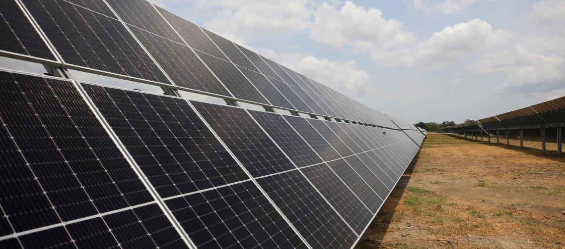 Las plantas solares son una apuesta por las energías renovables.