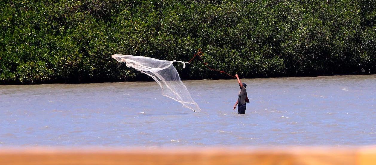 C.R.A. pidió a pescadores reportar anomalías.