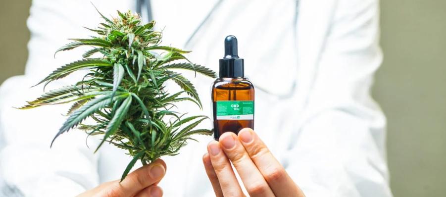 Foto referencia de cannabis medicinal