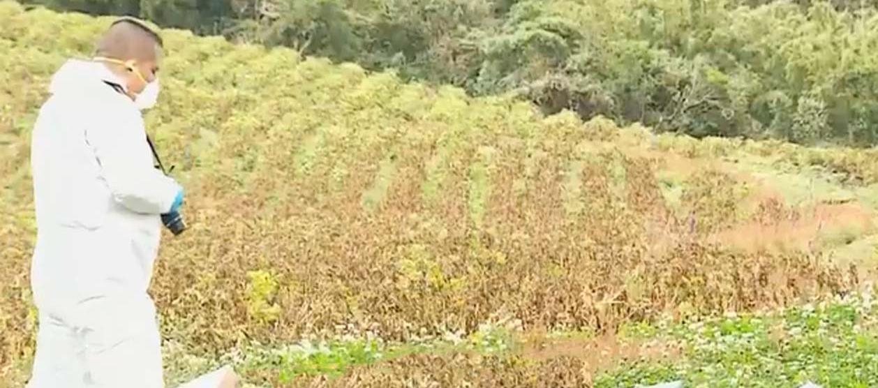 Técnicos de criminalística en la zona en donde fue hallado el cuerpo del bebé