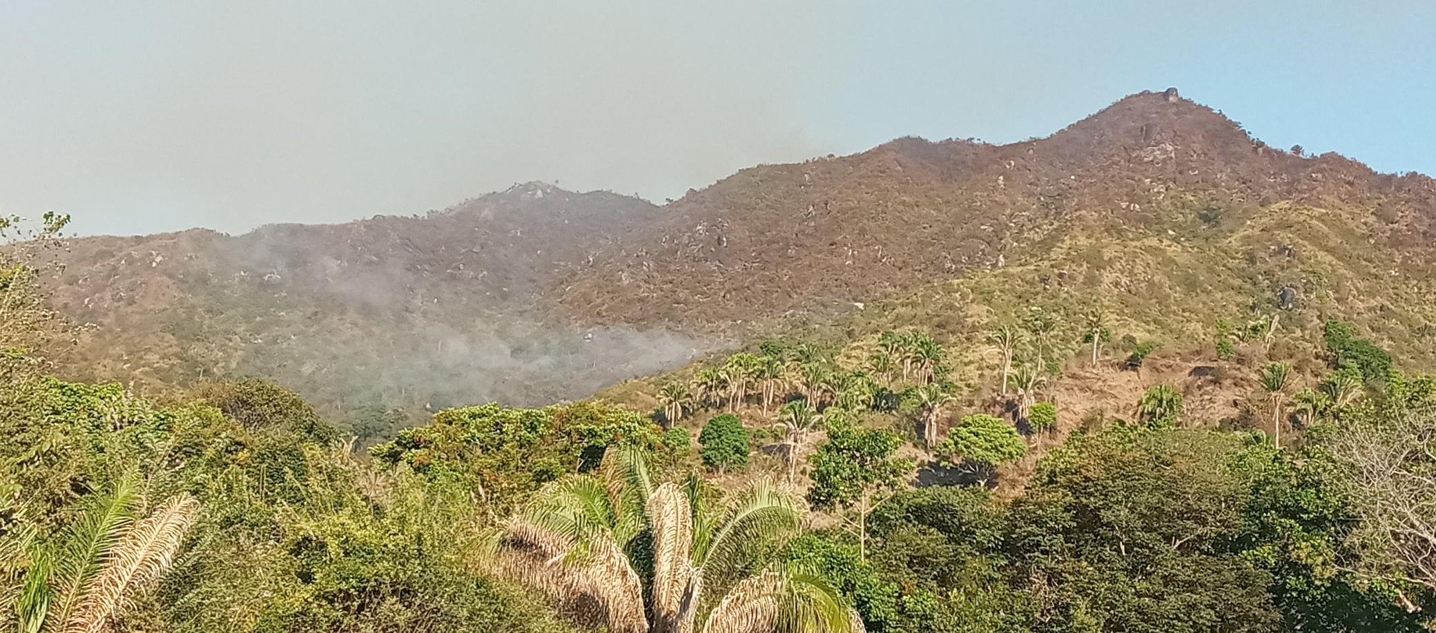 La foto que compartió la usuriaria de X, @Erika76441587