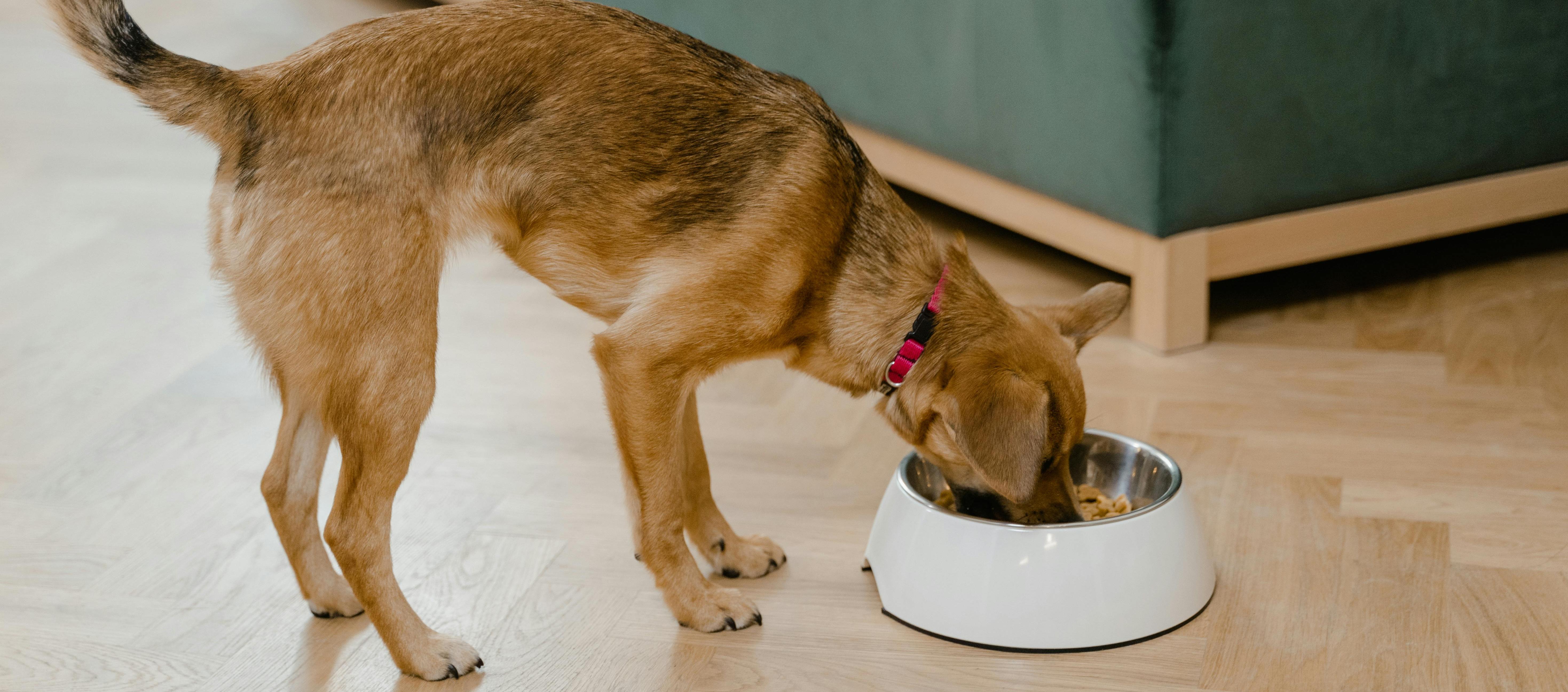 Proyecto fue aprobado por unanimidad en la Comisión Tercera de la Cámara.