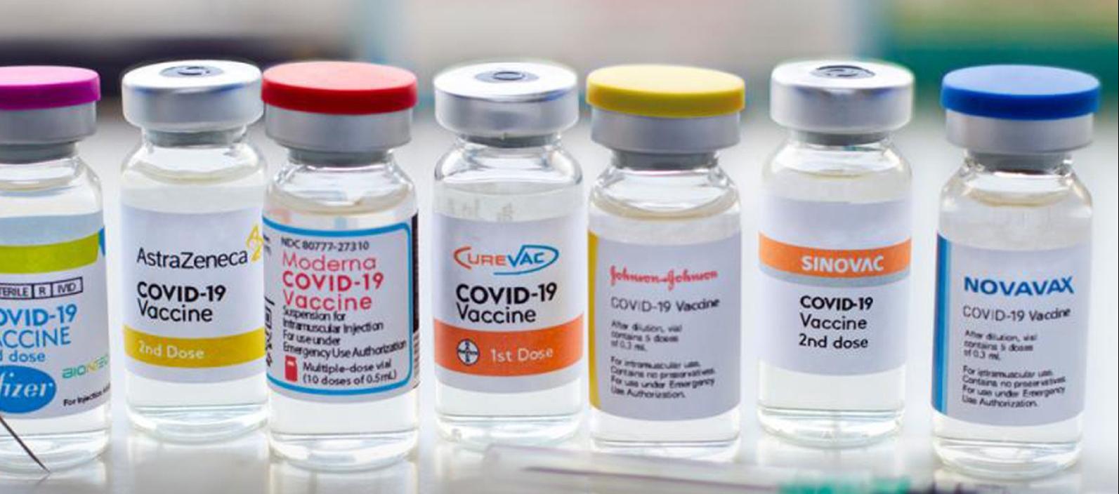 Imagen de referencia.