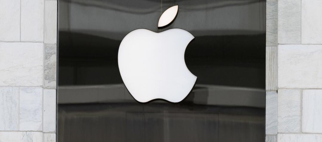 Imagen de referencia.