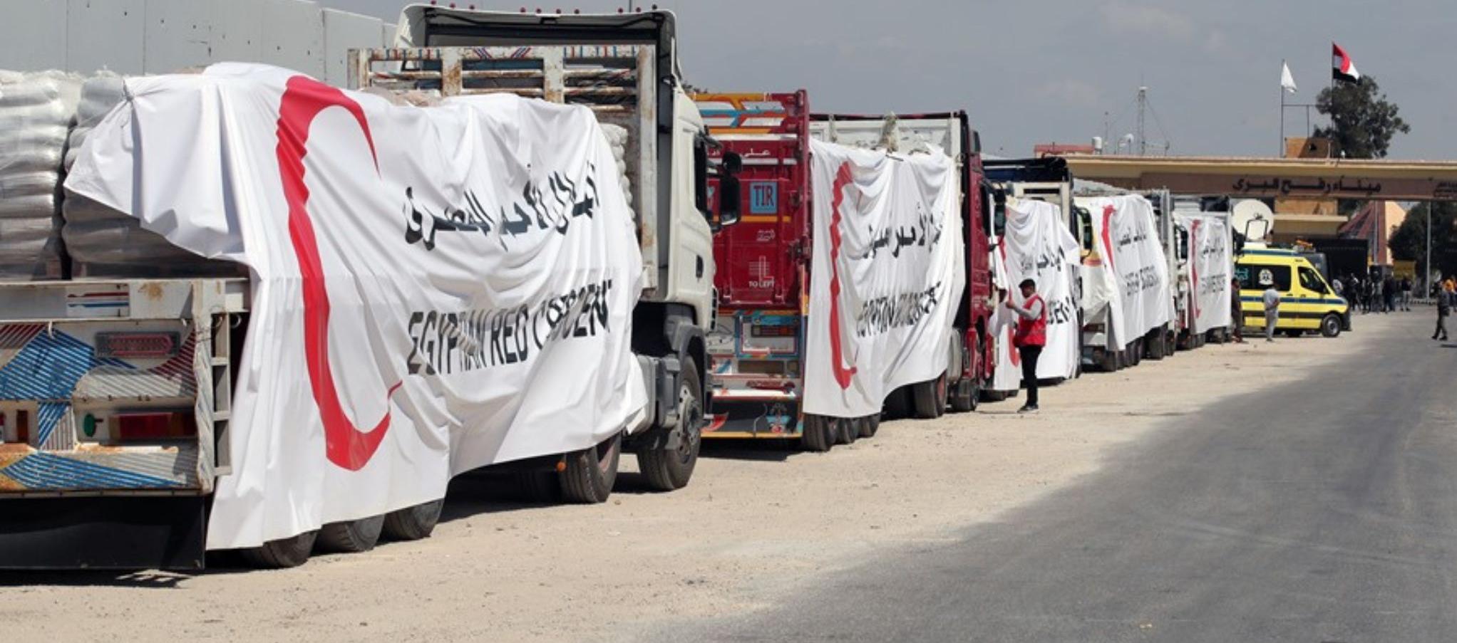 Imagen de referencia.