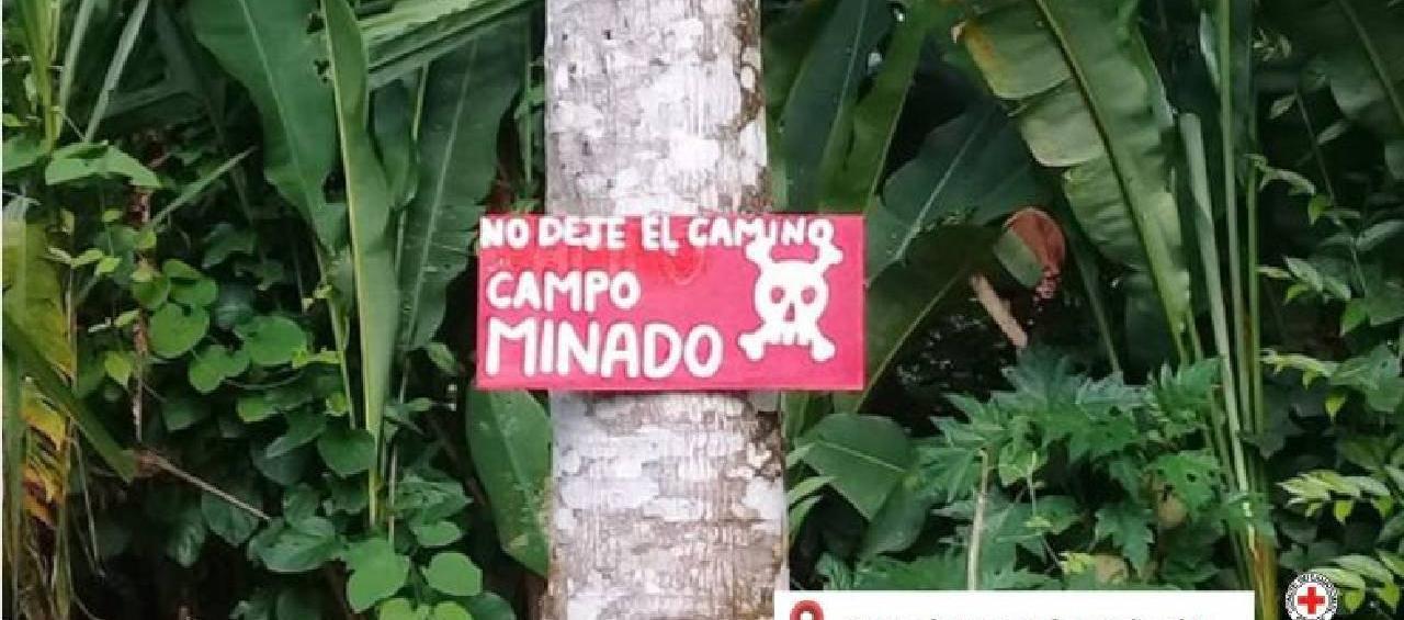 Campo minado en Norte de Santander. 