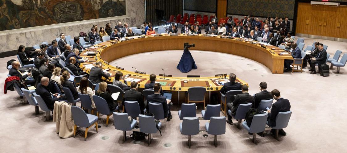 Consejo de Seguridad de la ONU.