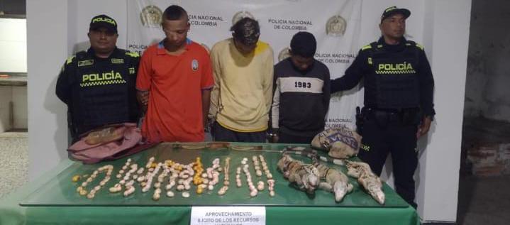 Los detenidos pretendían comercializar los huevos de iguana a los habitantes del municipio.