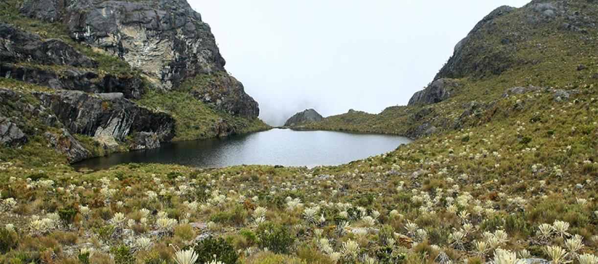 Páramo de Santurbán. 