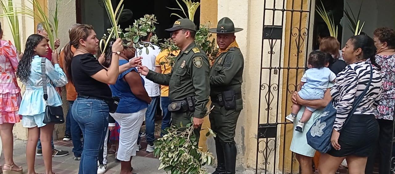 La palma de cera es una de las plantas que ha dado a conocer a Colombia en el exterior.