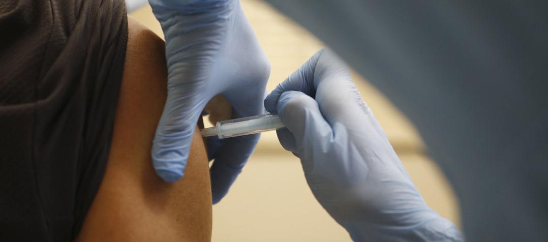 Imagen de referencia.