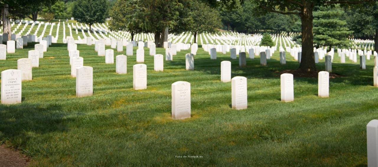 Imagen de referencia.